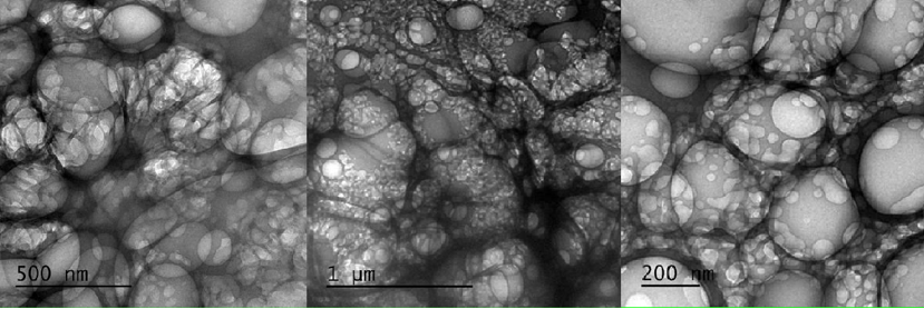 Slika 4 sastav cjepiva