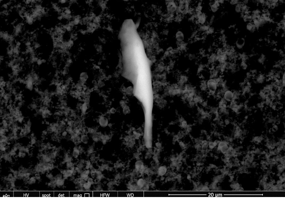 Slika 7a sastav cjepiva