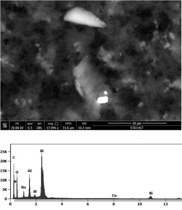 Slika 8 a b sastav cjepiva