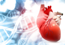 Miokarditis nakon cijepljenja protiv COVID-19: incidencija, mehanizmi i klinička razmatranja