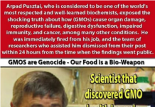 GMO SMEĆE UBIJA I MIŠEVE U EKSPERIMENTU