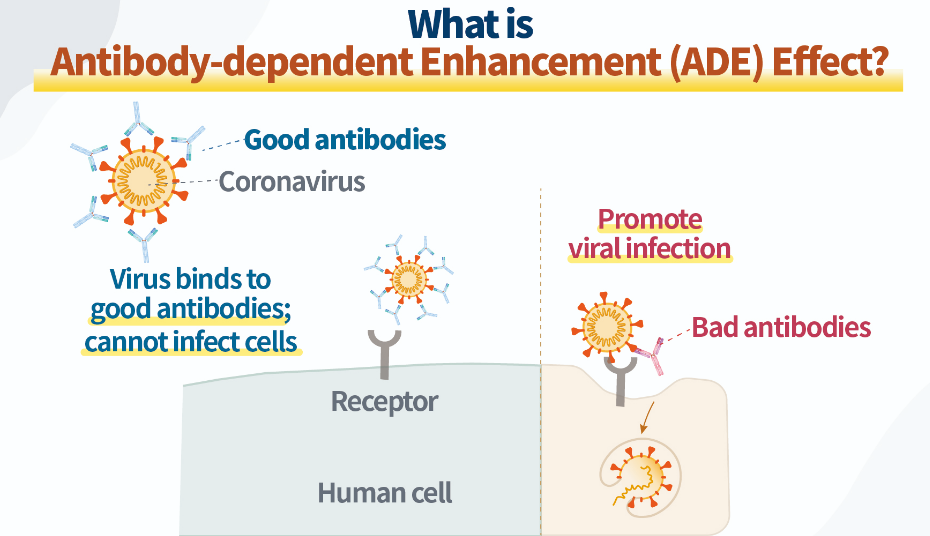 slika 3 znanstv vijesti 102 dio