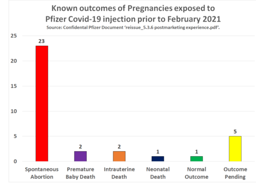 Slika 4 111 dio trudnice