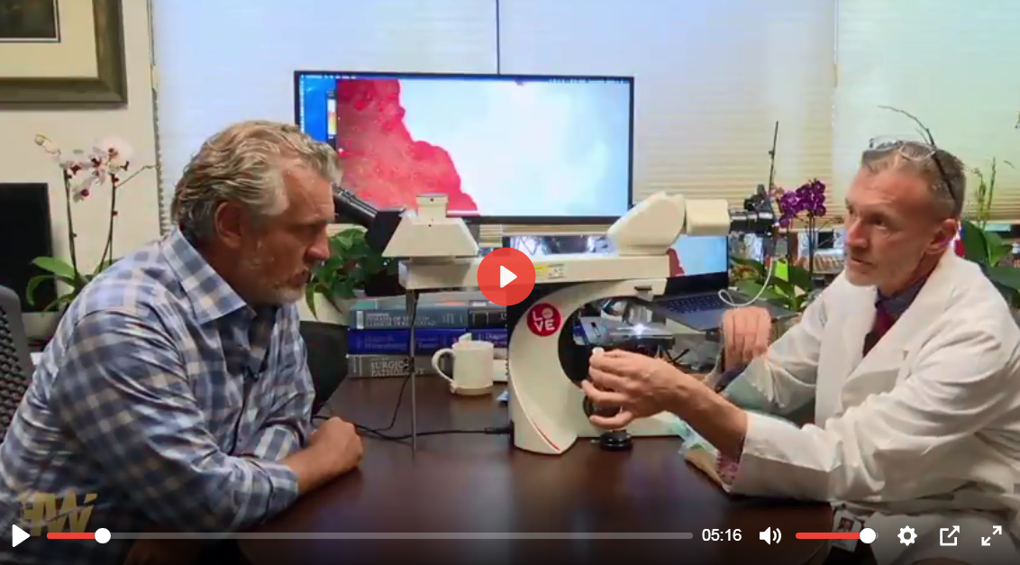 Slika 3 znanstv vijesti 116