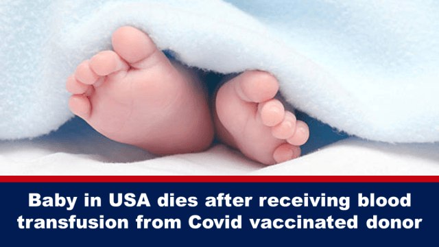 slika 1 znanstv vijesti 116 dio