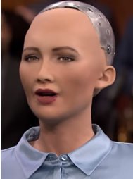 slika 3 roboti ubijaju Sofia