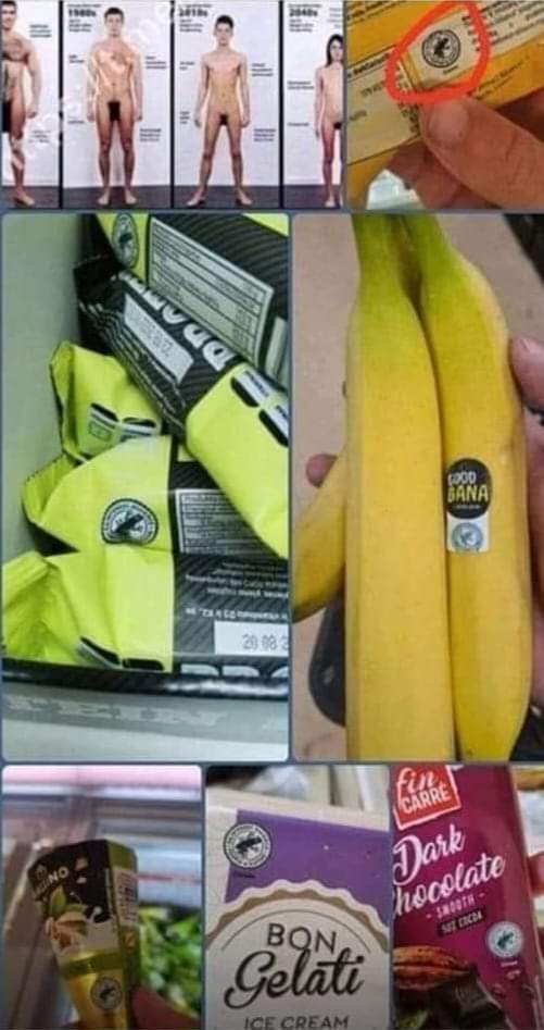 FB_IMG_1676534998758