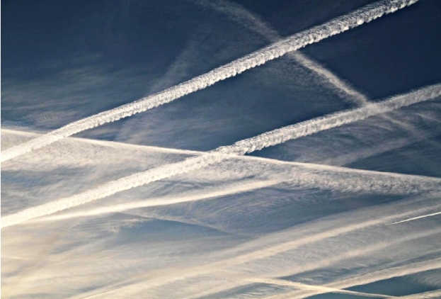 Screenshot_20230619-103151_Yandex Mail