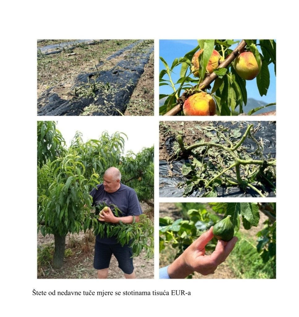 Screenshot_20230619-103257_Yandex Mail