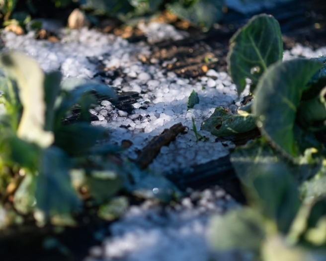 Screenshot_20230619-103315_Yandex Mail