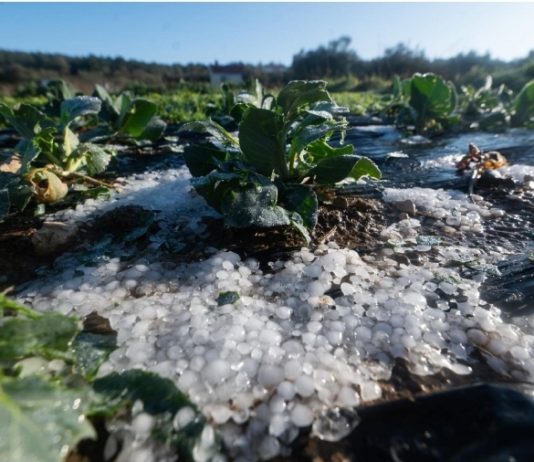 Svoje uništavanje sustav Obrane od Tuče započeo je 2000. godine i uništava se i danas (sezona kasni, raketa nema, otopina se navodno razvozi, ne zna se količina, radi samo polovica GP-a), suprotno propisanoj i znanstveno argumentiranoj metodologiji rada