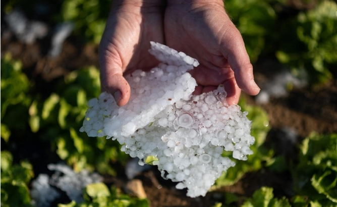 Screenshot_20230619-103349_Yandex Mail