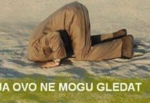 Ekskluzivna ekspertiza koja potvrđuje neopravdanu paniku ‘ klimatskim promjenama’