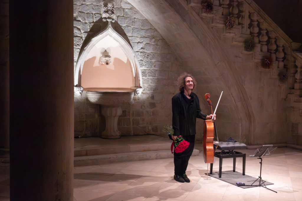 74DLJI Nicolas Altstaedt u Kneževu dvoru (27)