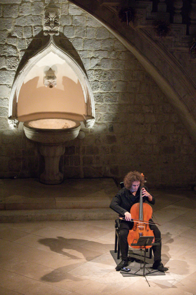 74DLJI Nicolas Altstaedt u Kneževu dvoru (8)