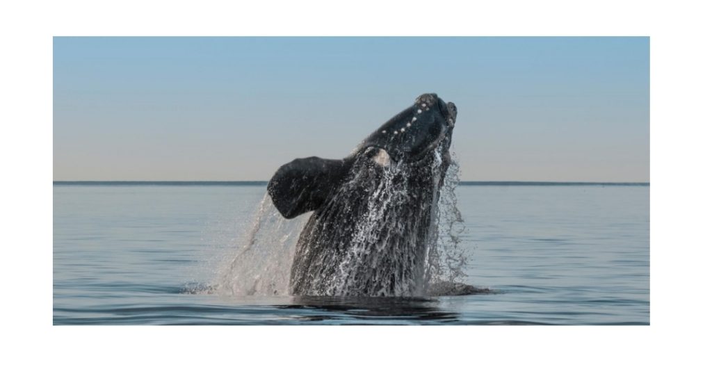 Screenshot_20230926_012404_Microsoft 365 (Office)