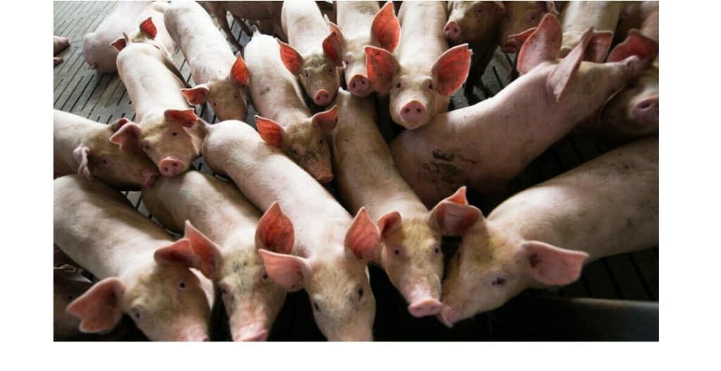 Screenshot_20231124_075914_Microsoft 365 (Office)