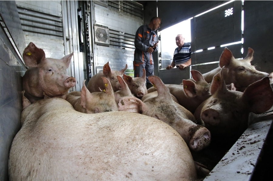 Screenshot_20231124_080014_Microsoft 365 (Office)