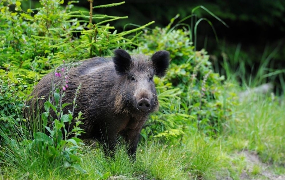 Screenshot_20231124_080106_Microsoft 365 (Office)