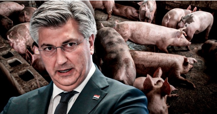 Screenshot_20231124_080133_Microsoft 365 (Office)