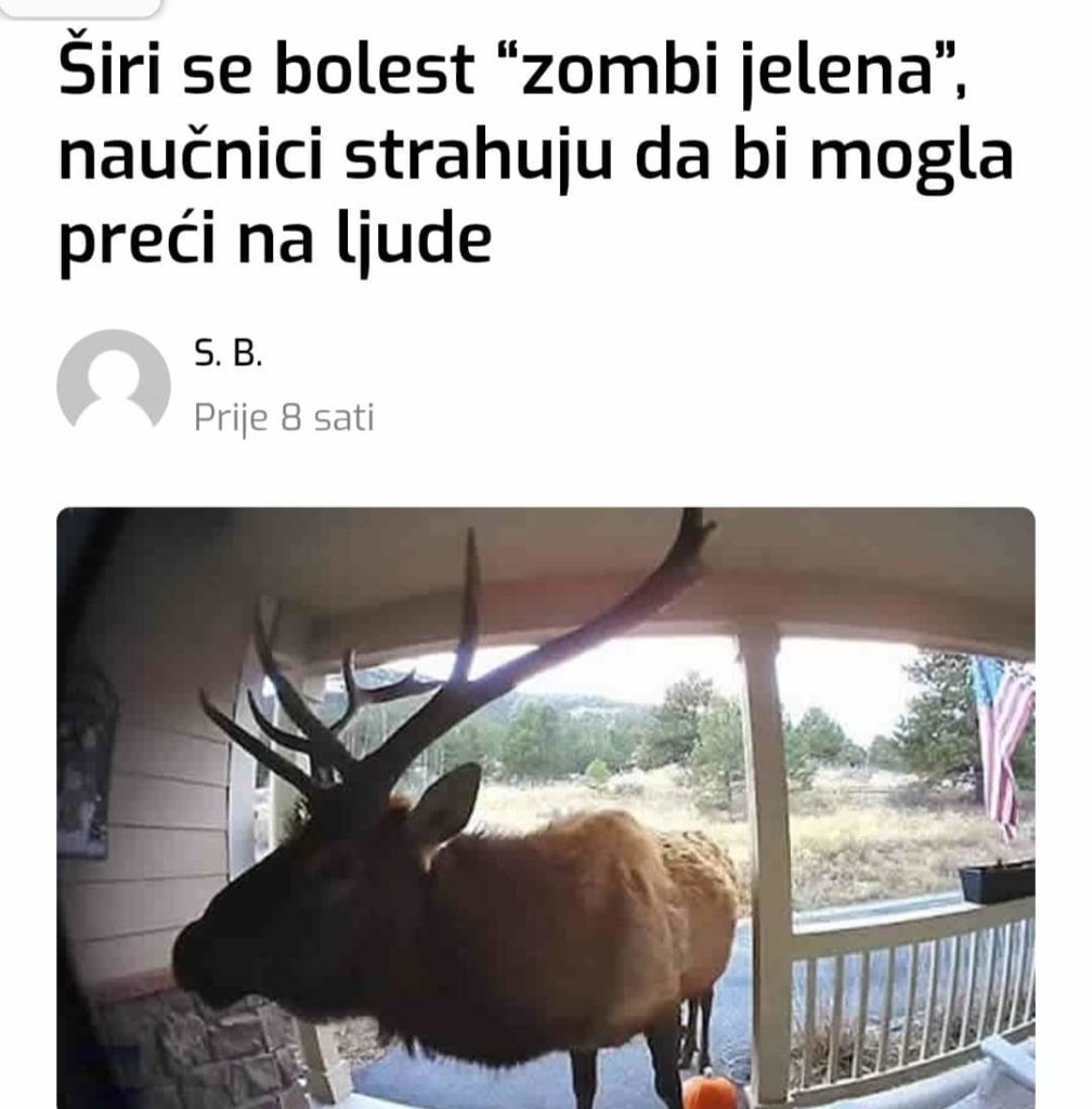 FB_IMG_1703353712750