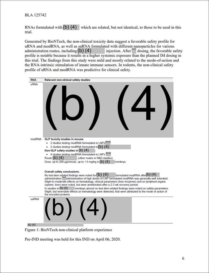 FB_IMG_1704179266576