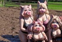 O snazi plamena kojim potpirujete vatre vašega srca ovisi hoće li vam život biti topla kolijevka ljubavi ili emotivno zgarište