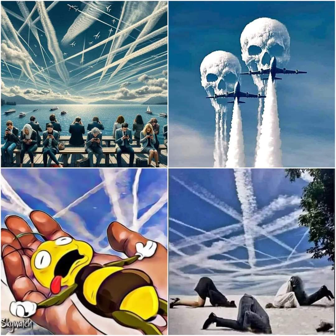 FB_IMG_1710847919117