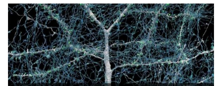 Screenshot_20240516-202108_Facebook