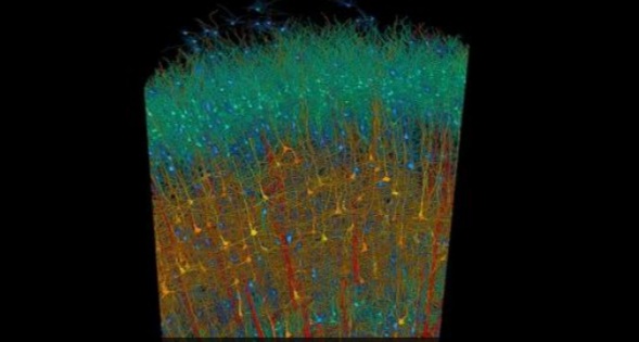 Screenshot_20240516-202112_Facebook