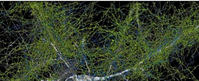 Screenshot_20240516-202118_Facebook