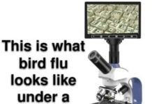 MANIPULATORI su glavni krivci nesloge među ljudima i nestanka svakog povjerenja, oni od toga žive i stiču bogatstvo