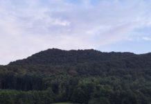 Zar nas je sram reći da je sanskrit bio jezik Harvača?