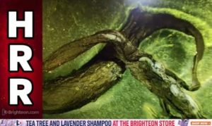 FB_IMG_1724573781837