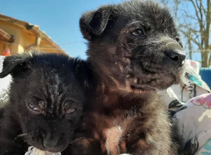 FB_IMG_1748064710430