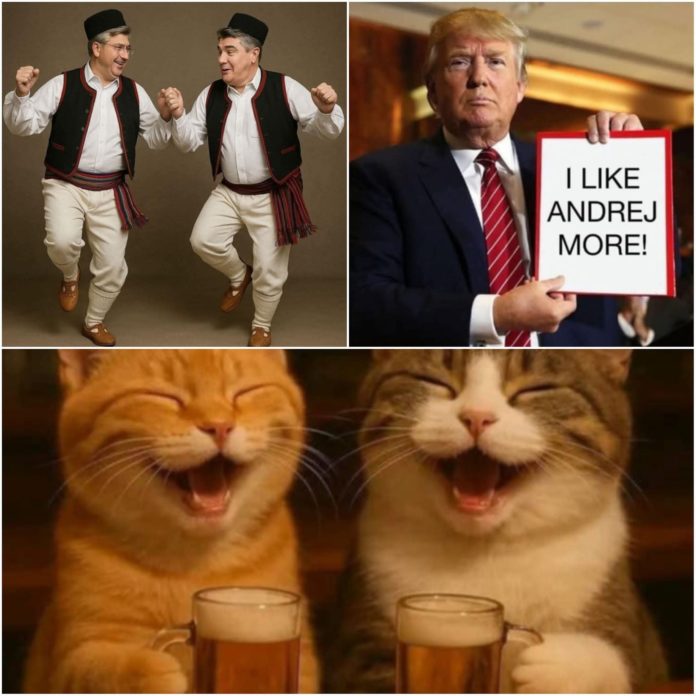 FB_IMG_1754217857526