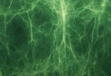 Prvi put čovječanstvo se moglo susresti sa nevidljivim nitima koje drže svemir