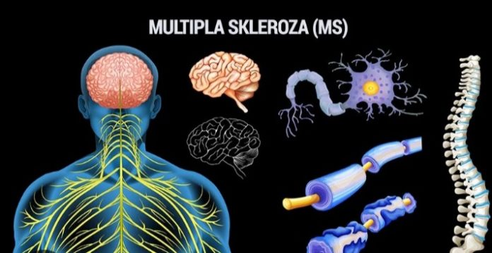 Screenshot_20250811-150127_Google