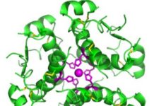 Znanstvenici su uspješno koristili laboratorijski uzgojene stanice koje proizvode inzulin