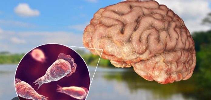 Screenshot_20250822-091213_Google