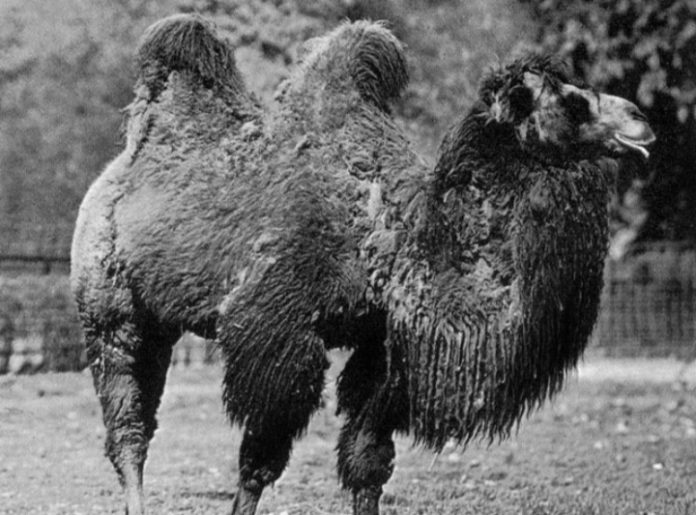 Screenshot_20250901-090208_Google