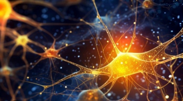 Screenshot_20250903-011249_Google