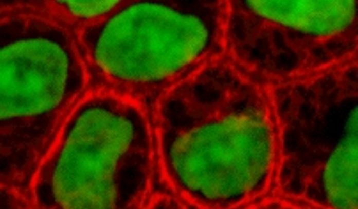 Screenshot_20250906-062420_Google