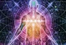 Svijest možda ne nastaje isključivo iz aktiviranja neurona, već iz kvantnih procesa