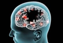 Putem epifize naš planet nas regenerira gravitacijom