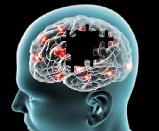 Putem epifize naš planet nas regenerira gravitacijom