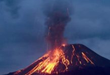 Drveće reagira na promjene oko erupcije vulkana