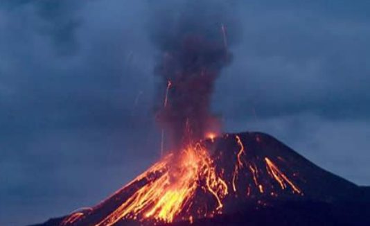 Drveće reagira na promjene oko erupcije vulkana