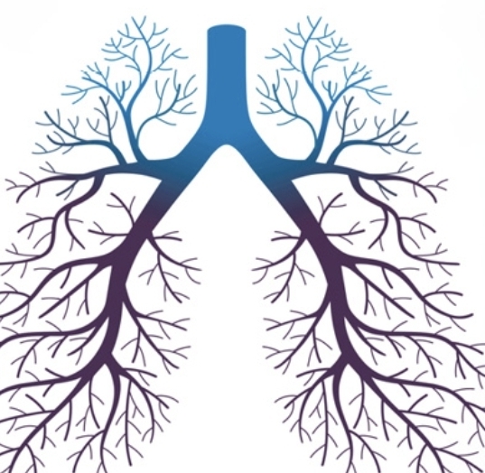 Screenshot_20251012_153957_Google