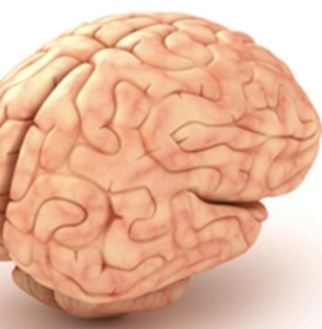 Mozak čisti poput perilice posuđa dok spavate, otpadne proizvode koji mogu izazvati bolesti